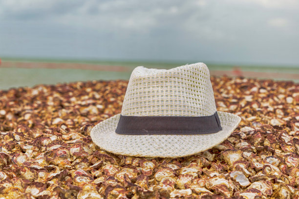 白帽躺在贝壳的海滩上，背景是蓝色的大海图片下载