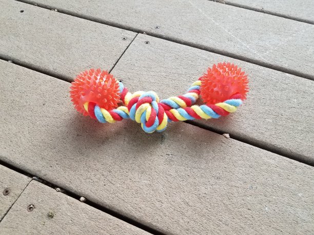 橙色尖橡胶和绳子狗玩具上的木头图片下载