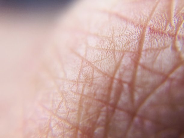 人类皮肤的宏观关闭图片下载