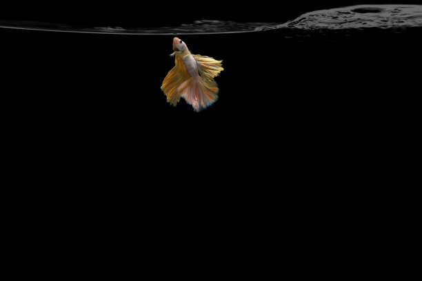 色彩斑斓的海底图片下载