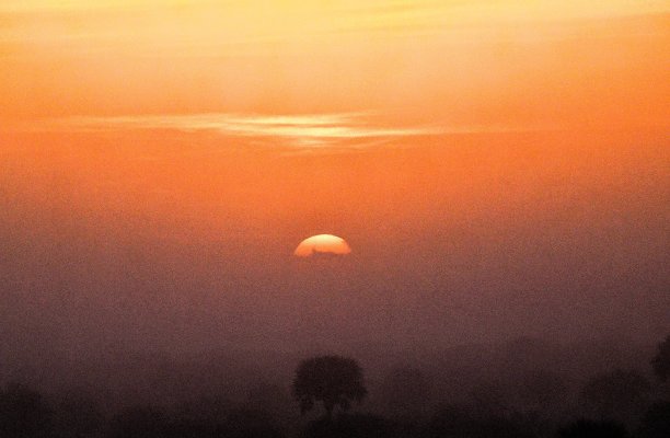 沼泽地的自然和野生动物图片下载