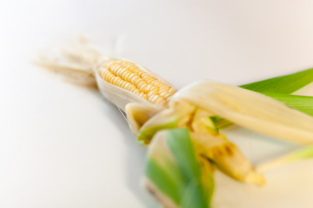 造成玉米图片下载