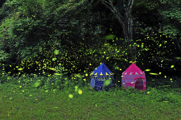 萤火虫夜游在卓栏苗栗图片下载