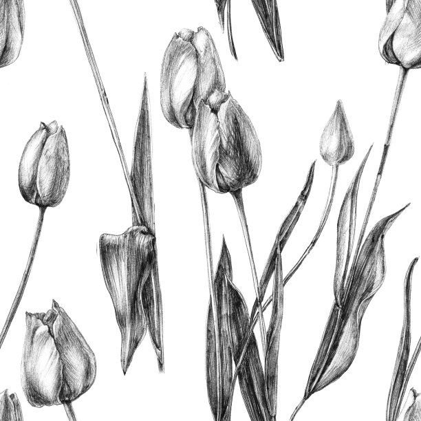 在纸上手绘衬垫。美丽的郁金香折成一个图案。设计纺织品，织物，家纺，封面，包装，墙纸。图片下载