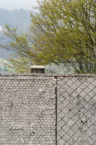 一个村庄房子的屋顶和烟囱的特写图片下载