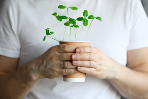 男手握锅与绿芽特写图片下载