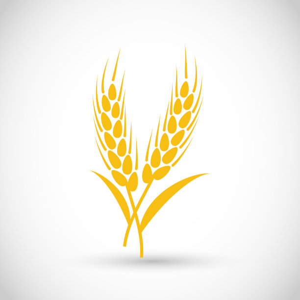 美丽的小麦金色，纹理向量元素图片下载