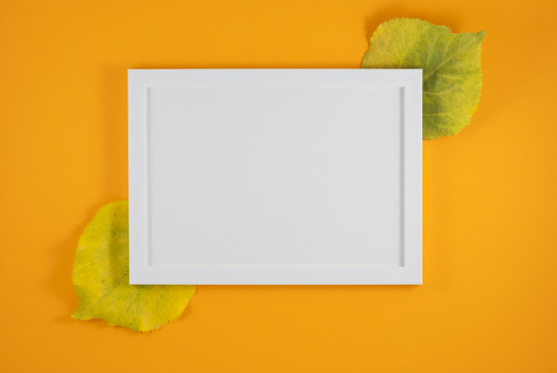 秋天的成分。相框，干树叶。秋，秋，平躺，俯视图图片下载