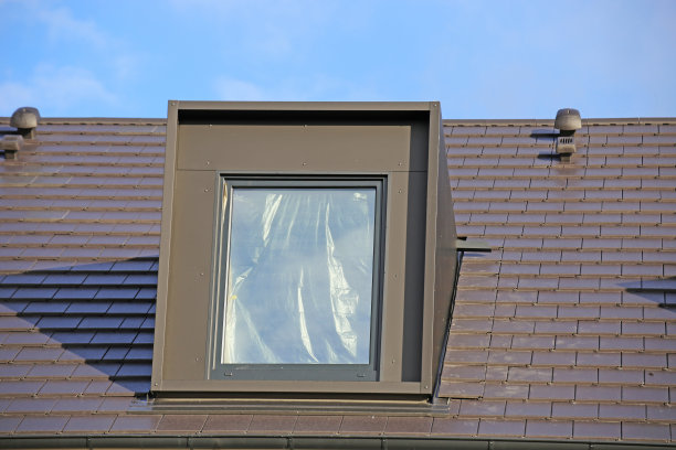 在瓦屋顶上覆有锌的多马图片下载