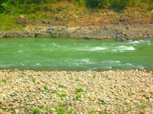 一个可爱的流图片下载