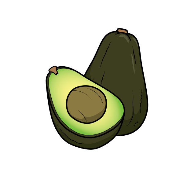在白色背景上分离的牛油果矢量插图。图片下载