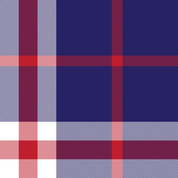 彩色经典现代格子呢无缝印花/图案向量图片下载