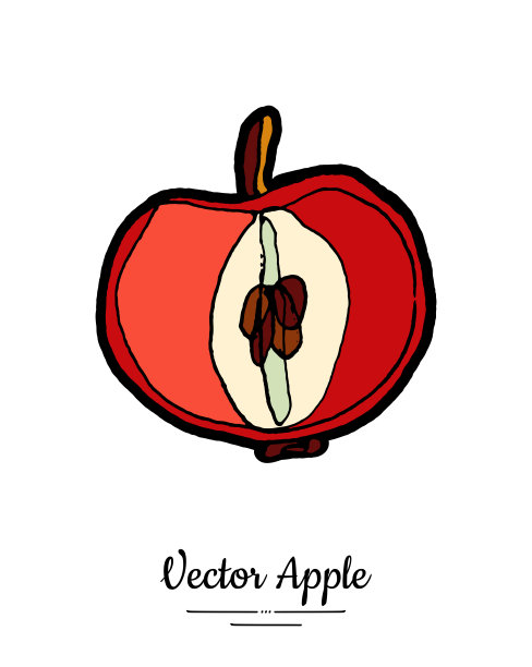 苹果向量孤立。红色水果手绘插图。时尚的素食菜单，水果标志，图标。整个苹果图片下载