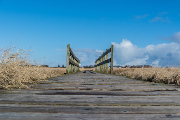 德国北海海岸的木桥图片下载