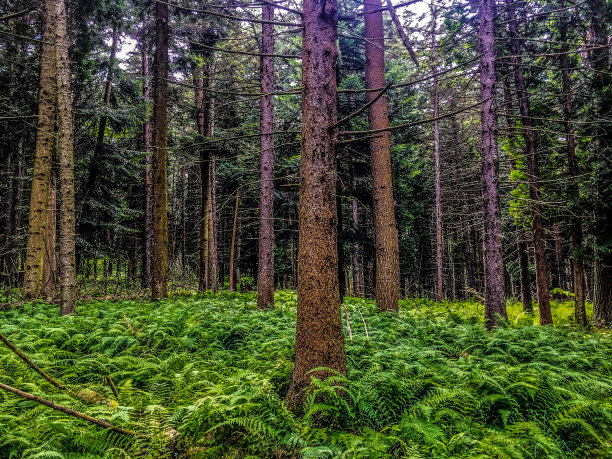 “我觉得是时候开始新的冒险了。”图片下载