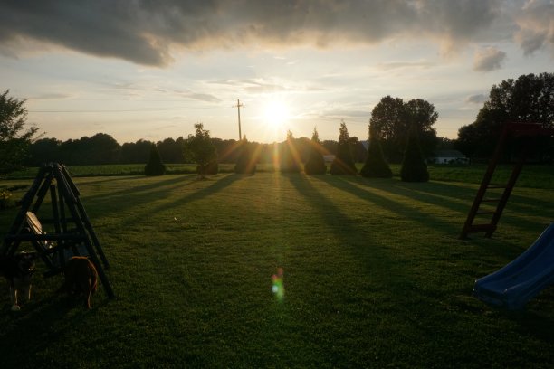 夏天的日落图片下载