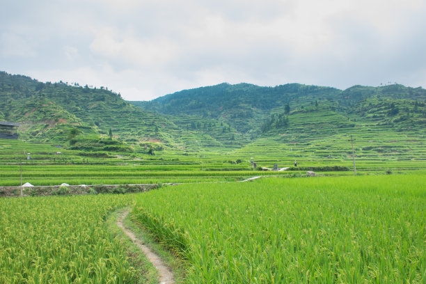 乡间小路图片下载