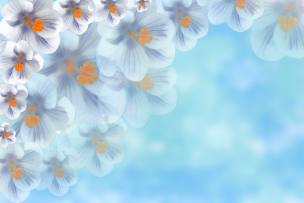 淡淡模糊的背景上点缀着娇嫩的春花，适合做明信片和问候素材图片