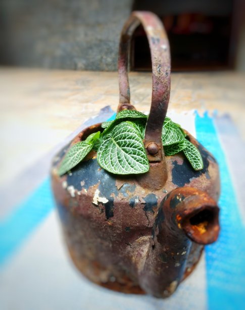 茶壶复古与马赛克植物图片下载