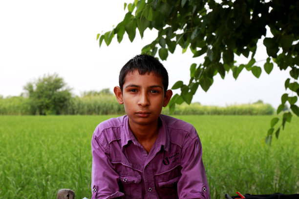 年轻男子坐在绿色的田野附近的肖像在春天图片下载