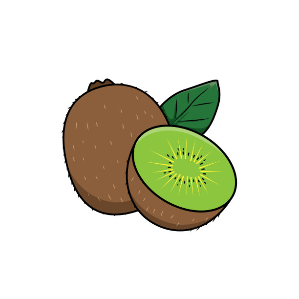 矢量插图猕猴桃孤立在白色背景。图片下载