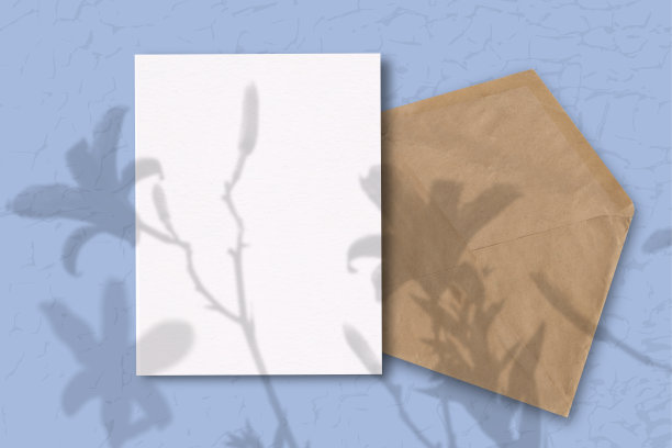 一个有着蓝色背景的白纸的信封。模型与植物阴影覆盖。自然光从上面投射出植物和花卉的影子图片下载