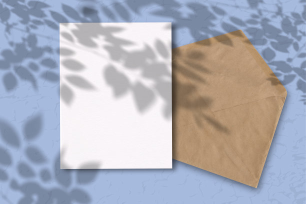 一个有着蓝色背景的白纸的信封。模型与植物阴影覆盖。自然光从上面投射出植物和花卉的影子图片下载