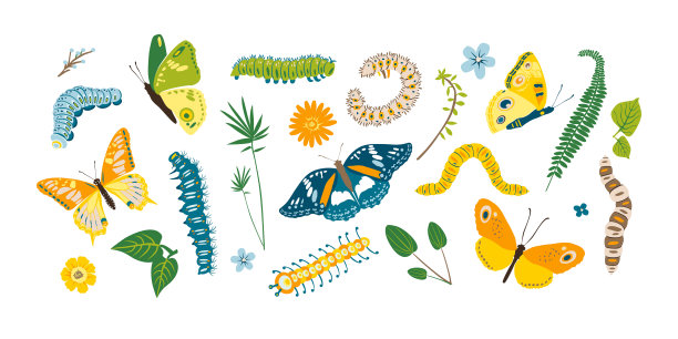 春夏秋冬，五彩缤纷的蝴蝶和毛毛虫。不同可爱的轮廓在白色的背景。适用于节日贺卡、标志、儿童图案、纹身、装饰、概念。矢量图图片下载