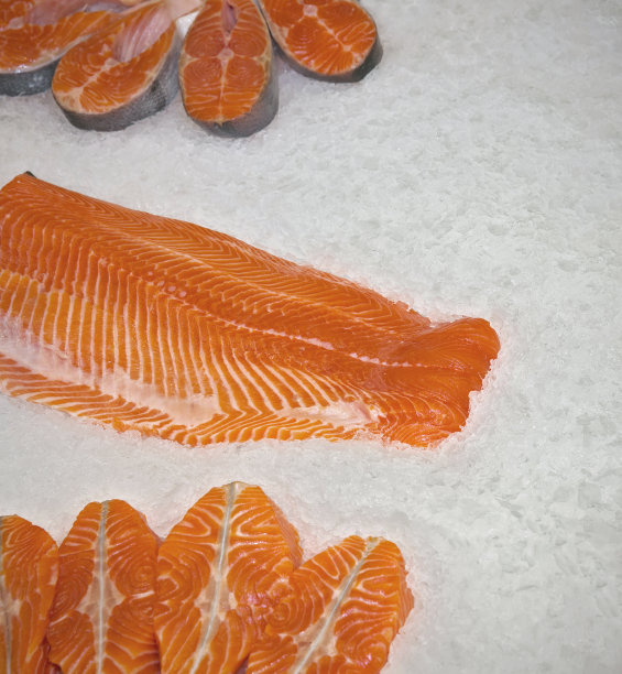 红色的新鲜的鱼图片下载