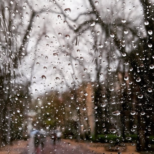 雨伞后面的雨图片下载