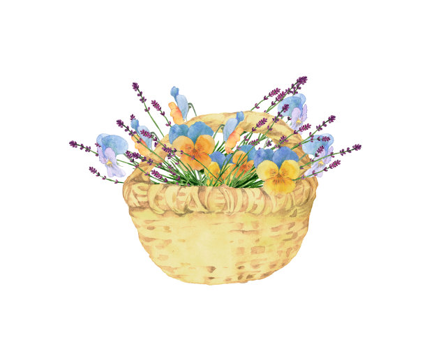 薰衣草和三色堇放在一个篮子里图片下载