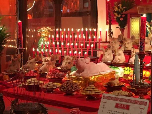 猪，在日本长崎的唐人街庆祝中国新年。图片下载