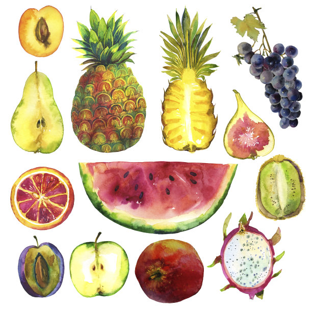 采用菠萝、西瓜、橙子、李子、火龙果、苹果、猕猴桃、桃子、梨子、无花果、苹果、葡萄等水果切片和完整的水彩元素。图片下载