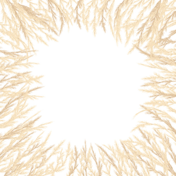 银金潘帕斯草卡模板边框。放置文本，复制空间。矢量插图。图片下载