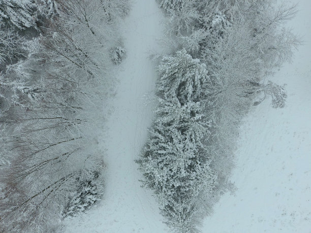 下面的冷图片下载