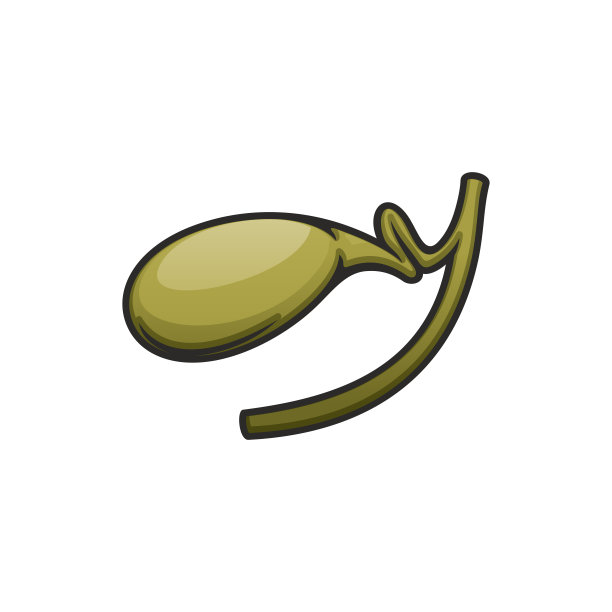 人的胆囊，胆汁向量图标图片下载