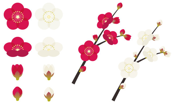 简单可爱的梅花插画图片下载