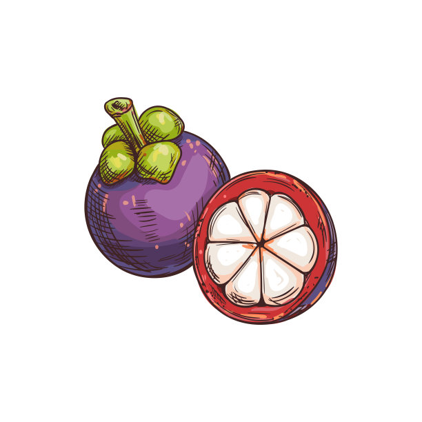 可食用的山竹果实，整个和剥皮分离图片下载