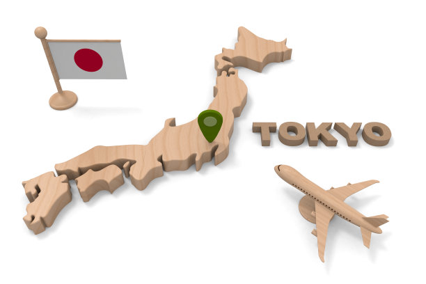 去东京。乘坐客机前往日本。三维演示图片下载