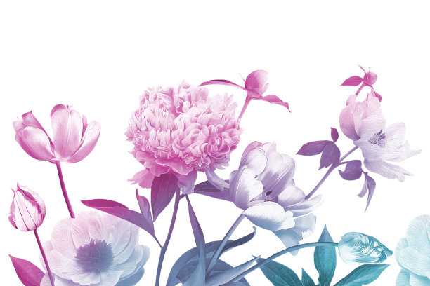 花园的花。古董花卡。图片下载