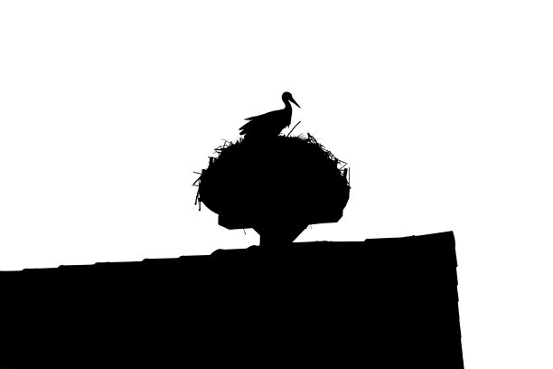 野鹳坐在屋顶上，鸟瞰威严的王座图片下载