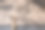 一个国王独自站在古老的世界地图上。金钱游戏的概念。一个真正的赢家。最后一站。副本的空间。图片下载