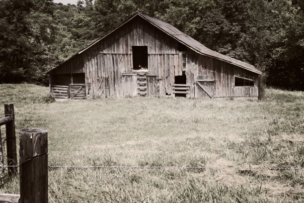 孩子们图片下载