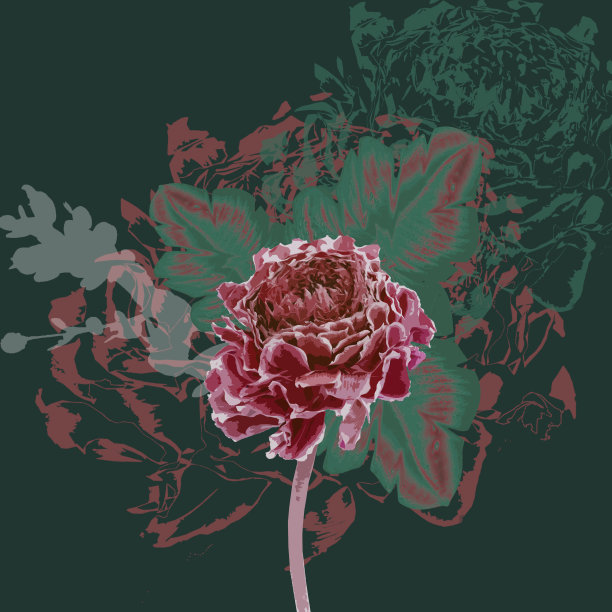 花卉水彩插图的幻想花在美丽的颜色图片下载