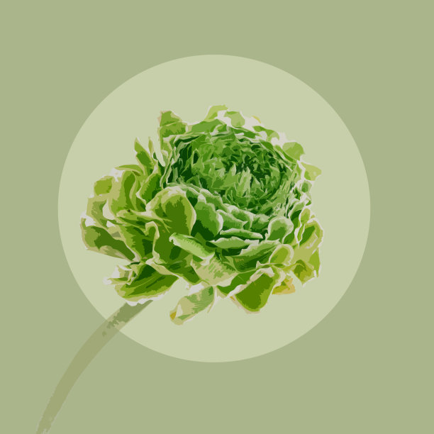 花卉水彩插图的幻想花在美丽的颜色图片下载