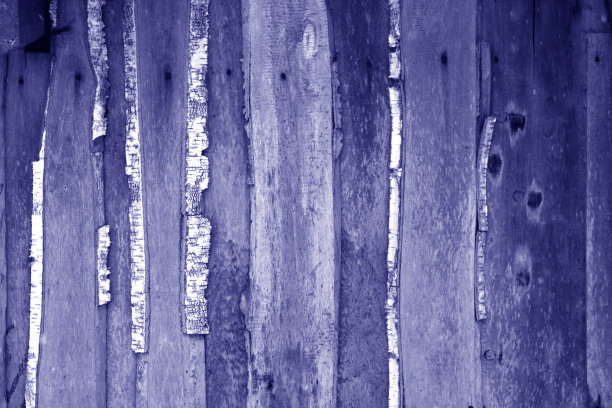 蓝色调的未经切割的风化木板制成的墙。图片下载