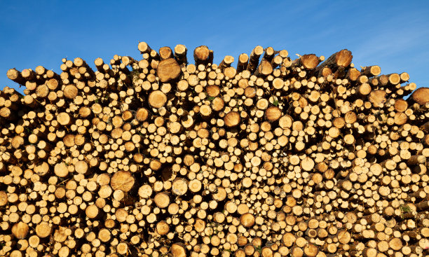 一大堆木材图片下载