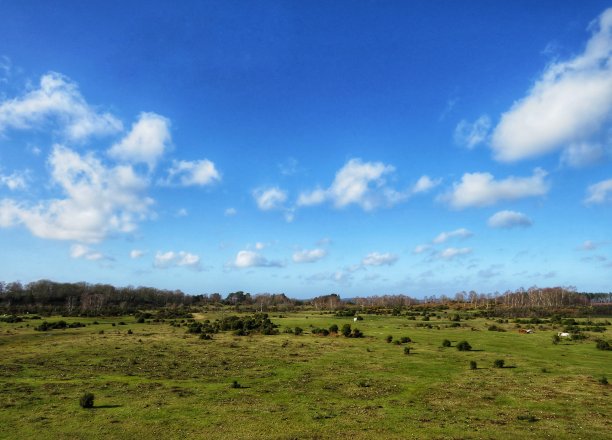 罗克福德景观图片下载