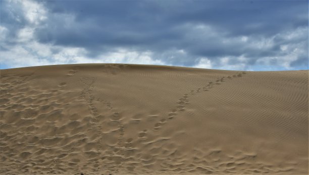 大加那利岛的沙丘图片下载