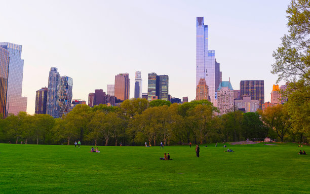 绿色草坪和曼哈顿中城从中央公园南反射图片下载